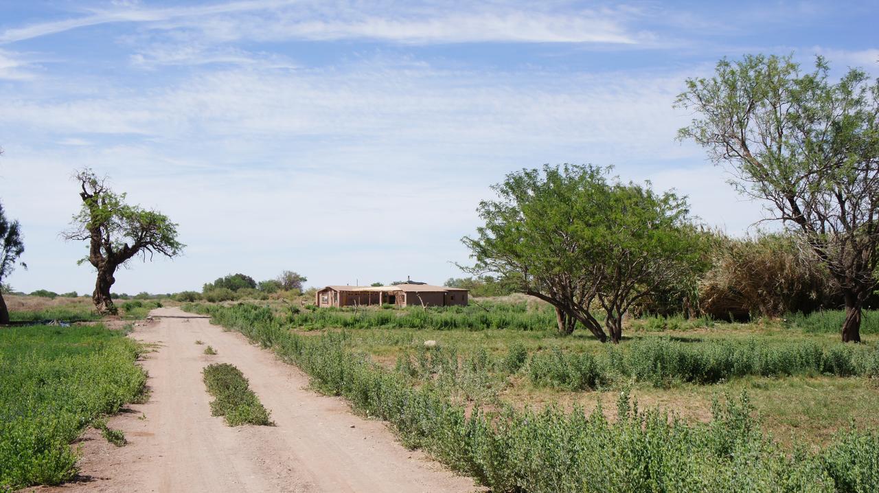 Vernacular * San Pedro de Atacama