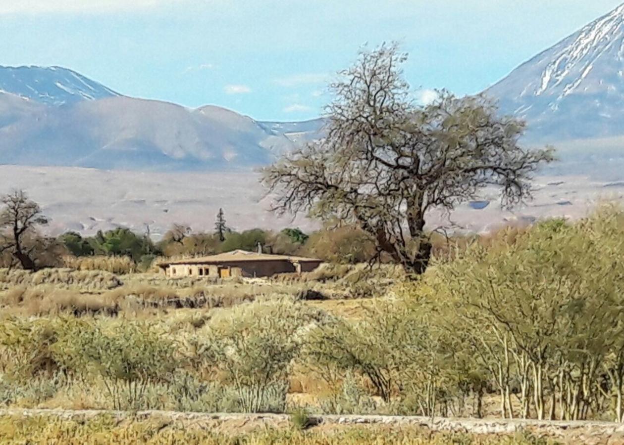 Alojamento Vernacular
